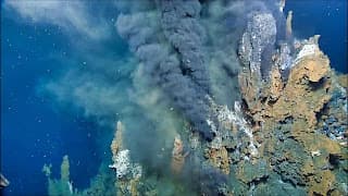 How Did Life Begin on Earth? Theories Explained