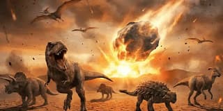 Why Did Dinosaurs Go Extinct? Complete Guide – Pakistan Times