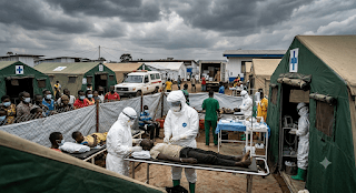 Ebola Crisis in DRC: Death Toll Surpasses 600, Public Health Emergency Deepens
