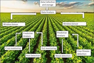 AI in Agriculture: How Artificial Intelligence Is Boosting Crop Yields and Cutting Water Use in 2026